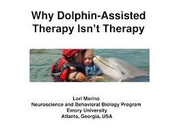 ppt why dolphin isted therapy isn