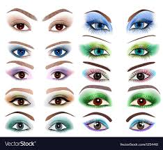 diffe makeup vector image
