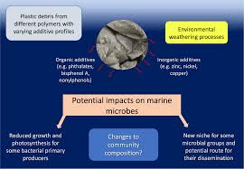 marine plastic pollution affect