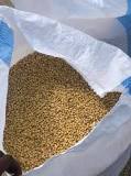 Image result for How Much Is Soya Beans Per kg in Botswana