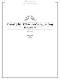 developing effective organization structure organizational developing effective organization structure organizational structure accountability