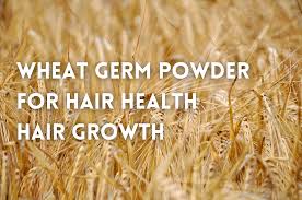 video wheat germ for hair benefits