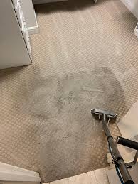 carpet cleaning cincin carpet cleaning