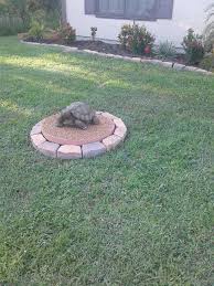Pin On Septic Tank Landscaping