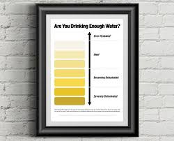Urine Colour Chart Pee Color Chart Water By
