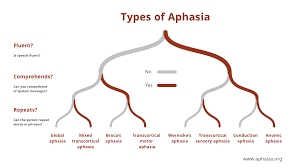 Aphasia Definitions National Aphasia Association