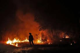 Image result for images california wildfires