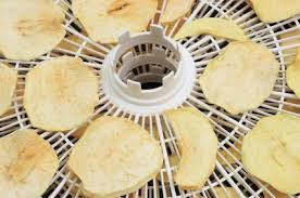 dehydrator recipes for healthy eating
