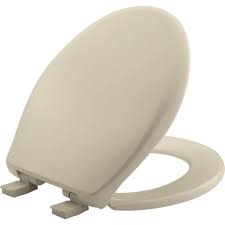 Mayfair By Bemis Affinity Toilet Seat