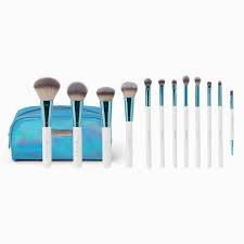 12 piece brush set bh cosmetics