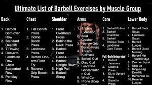 barbell exercises list by muscle group