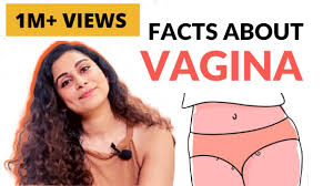 Did you know this about the vagina? | Explains Dr. Riddhima Shetty - YouTube