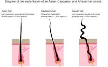 why-does-african-hair-grow-the-slowest