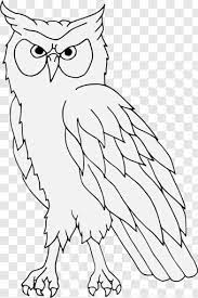 Kepala, iris, paruh, tubuh bagian atas dan kaki berarna hitam. Owls Gambar Burung Hantu Hitam Putih Hd Png Download 901x1354 5480016 Png Image Pngjoy
