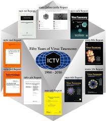 International Committee on Taxonomy of Viruses (ICTV)