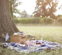 best picnic blankets 2023 waterproof
