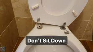 replacing broken toilet seat hinges