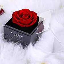preserved eternal red rose jewelry box