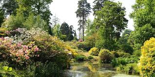 pulborough leonardslee lakes gardens