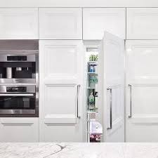 hidden fridge design ideas