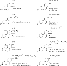 Figure 14 1 From Pharmacology Of Testosterone Preparations