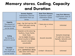 psychology memory coding capacity