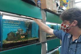 Visit our store and speak to our knowledgeable staff for all you pet keeping needs. Vancouver Bc Pet Store Dealing With Invasive Zebra Mussels Vancouver Is Awesome