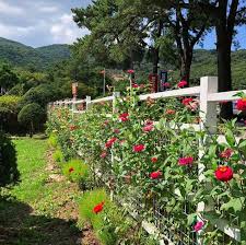 17 beautiful garden fence ideas