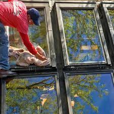 window cleaning services and gutter