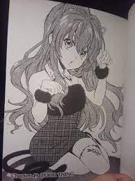 Was reading my toradora manga 6 when I found this chapter art of Taiga.  What in God's name is she wearing : r/toradora