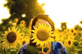 8 Sunflower Photoshoot Ideas To Try