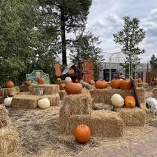 Garden Center In Flagstaff Az