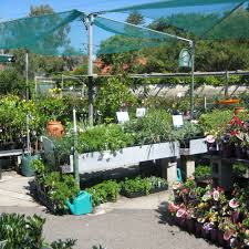 top 10 best nurseries gardening near