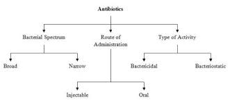 History Of Antibiotics The Discovery By Alexander Fleming