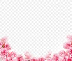 pink beach rose petal flower png