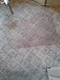 adams carpet cleaning inc reviews