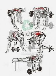 Huge Back Workout Chart Bodybuilding And Fitness Zone