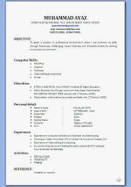 MCA Fresher Resume Format 