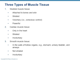 Muscles And Muscle Tissue Part A Ppt Video Online Download