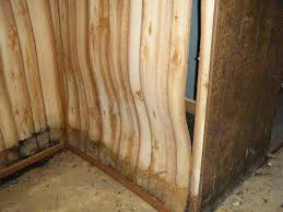 Leaky Basement Warped Wall Paneling