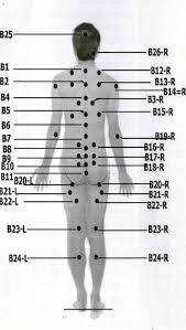 35 Cupping Points Chart Oberteil35 Cupping Points Chart