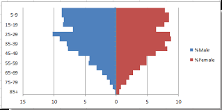 How To Create Population Pyramid Chart In Excel