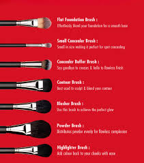 pac quintessential series 15 brushes