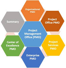 It reviews each of the projects that are currently going and provides a centralized view of the health of projects to the sponsors and. Sojo Consulting Services Project Management Office Pmo Services