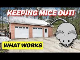 How To Keep Mice Out Of Your Garage Or