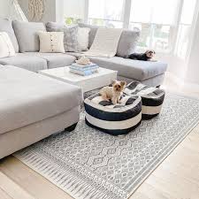 how to get rid of pet odor on rugs