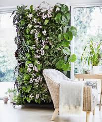 How I Built An Indoor Living Plant Wall
