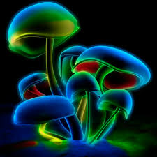 mushroom neon live wallpaper 35700