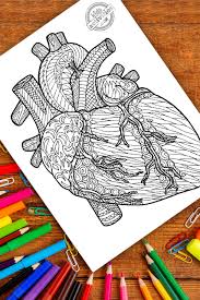 See more ideas about zentangle, coloring pages, zentangle patterns. Detailed Zentangle Human Heart Coloring Page