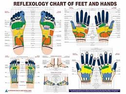 Brand New Acupressure Foot Hand Reflexology Chart Eng 20 Laminated Ebay